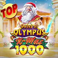 Olympus x-mas 1000